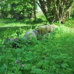 Gasthof Kirjakkalan Ruukkikylae 3*