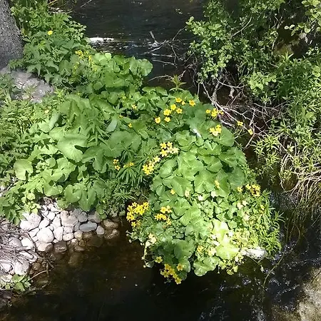Kirjakkalan Ruukkikylae 3* Teijo