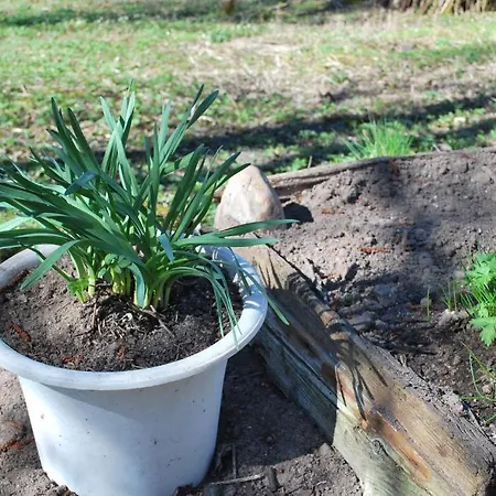 Kirjakkalan Ruukkikylae