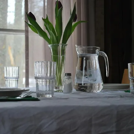 Kirjakkalan Ruukkikylae ゲストハウス